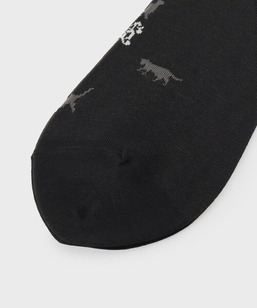 TAKEO KIKUCHI(タケオキクチ)の「【グレンクライド別注】コーデュラ(R)ドレスソックス(ソックス/靴下・メンズ・ブラック系4/ネイビー系4/ターコイズブルー系5・00)」の5枚目の写真