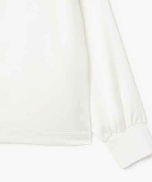 LACOSTE（ラコステ）の「オーバーサイズサテンポロシャツ（ポロシャツ・レディース・ダークブラウン/ホワイト・38/36/34）」の7枚目の写真
