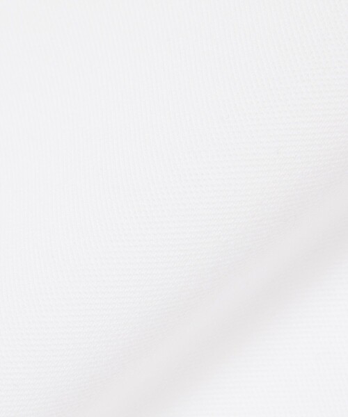 LACOSTE(ラコステ)の「ジャカードブランドネームネック鹿の子Tシャツ(Tシャツ/カットソー・メンズ・ブラック/ホワイト/ライトブルー・2/3/4/5)」の9枚目の写真