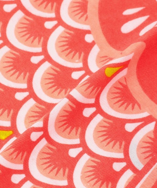 bpr BEAMS（ビーピーアール ビームス ）の「DOIY / "Koinobori" Laundry Bag（ランドリーグッズ・メンズ・ブルー/レッド・ONE SIZE）」の18枚目の写真