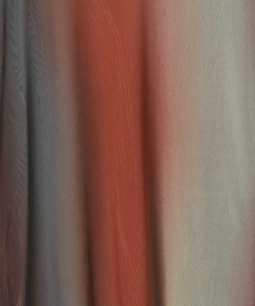 JEANASIS（ジーナシス）の「マルチグラデーションLS TEE/102736（Tシャツ/カットソー・レディース・ブルー系その他/レッド系その他・FREE）」の10枚目の写真