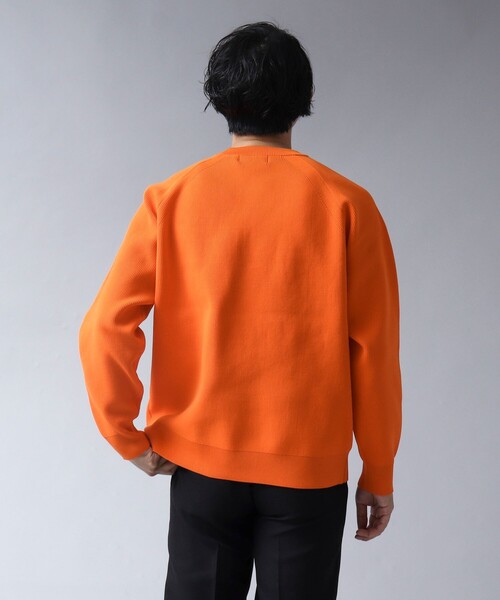 NOLLEY'S goodman(ノーリーズグッドマン)の「【ACTIVE SECT】《限定展開 / ウォッシャブル / 速乾 / 形態安定》クルーネックニット(ニット/セーター・メンズ・ダークネイビー/グレイッシュブルー/オレンジ・M/L)」の12枚目の写真