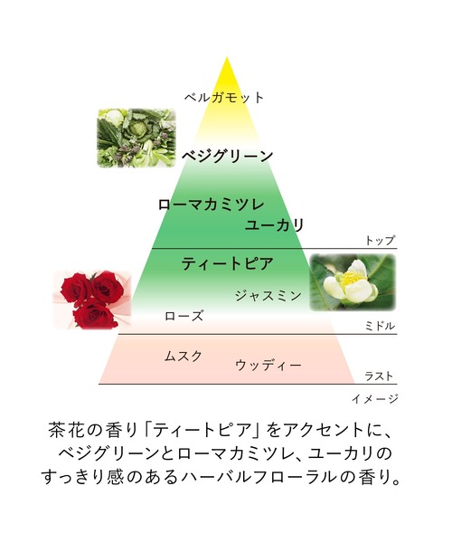 KANEBO（カネボウ）の「スキン　ハーモナイザー　３８ｍＬ（化粧水・レディース・その他・FREE）」の5枚目の写真