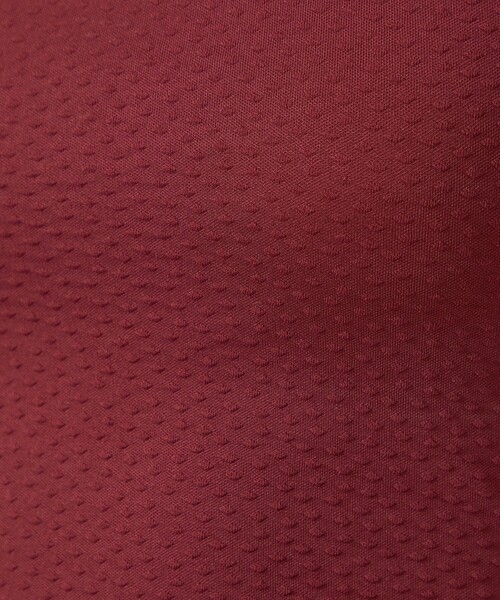 Lepidos（レピドス）の「＜Lepidos＞ドット トップ（水着・レディース・ホワイト/ワインレッド/ブラック・S/M）」の20枚目の写真