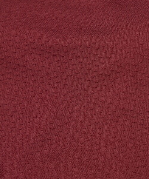 Lepidos（レピドス）の「＜Lepidos＞ドット トップ（水着・レディース・ホワイト/ワインレッド/ブラック・S/M）」の10枚目の写真