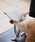 ROPE' PICNIC�i���y�s�N�j�b�N�j�́u�yDOG�z�ycomif(�R�~�t)×ROPE' PICNIC�z�V���C�j�[�L���b�v/�����N�R�[�f�i�y�b�g�E�F�A�j�v�b���C�g�O���[