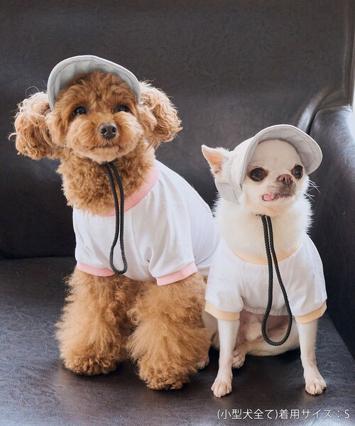 セール】【DOG】【comif(コミフ)×ROPE' PICNIC】シャイニーキャップ