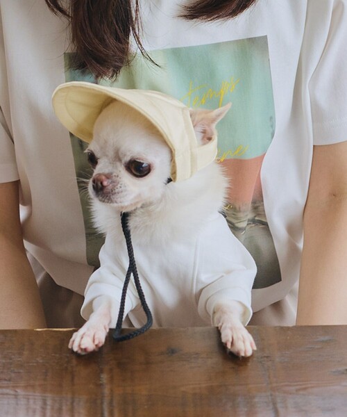 セール】【DOG】【comif(コミフ)×ROPE' PICNIC】シャイニーキャップ