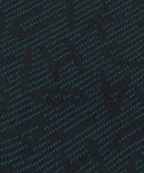 TAKEO KIKUCHI(タケオキクチ)の「【グレンクライド別注】コーデュラ(R)ドレスソックス(ソックス/靴下・メンズ・ブラック系4/ネイビー系4/ターコイズブルー系5・00)」の6枚目の写真