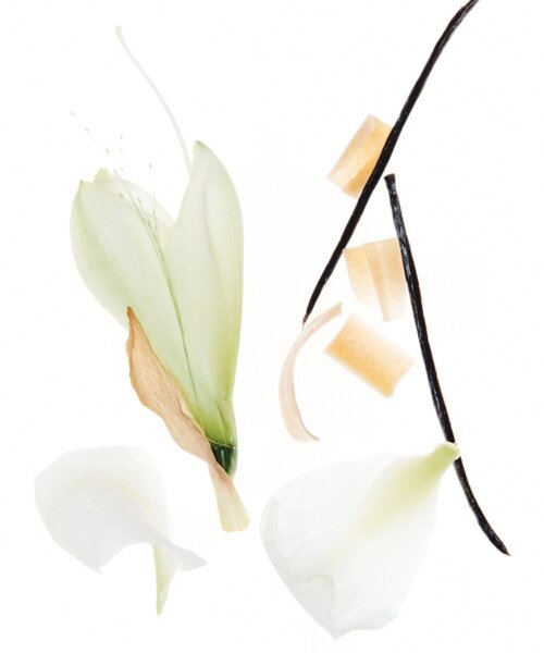 BIRTHDAY BAR（バースデイバー）の「【TODAY(IS) トゥデイイズ】 HAND CREAM  ハンドクリーム（ハンドケア/ハンドクリーム・レディース・ホワイト系その他2/ホワイト/ホワイト系その他・0）」の10枚目の写真