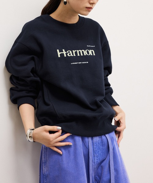 ADAM ET ROPE'(アダムエロペ)の「【WEB限定】フロッキーロゴスウェット(スウェット・レディース・ダークブラウン/オフホワイト/ネイビー・FREE)」の1枚目の写真