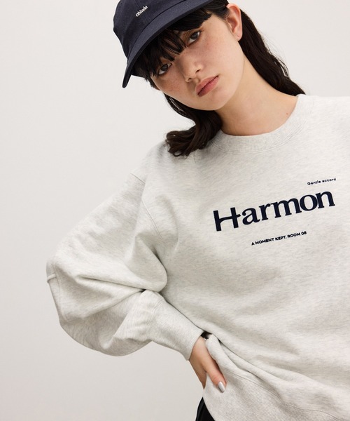ADAM ET ROPE'(アダムエロペ)の「【WEB限定】フロッキーロゴスウェット(スウェット・レディース・ダークブラウン/オフホワイト/ネイビー・FREE)」の2枚目の写真