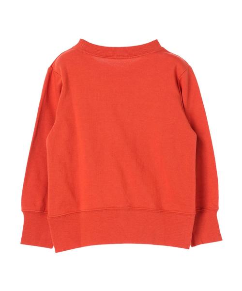 earth music&ecology(アースミュージックアンドエコロジー)の「ダイナソートレーナー ●(Tシャツ/カットソー・キッズ・ライトブルー/オレンジ/杢グレー・100/110/120)」の8枚目の写真