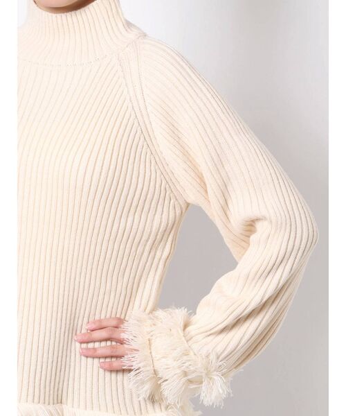 EMODA（エモダ）の「タートルネックフリンジニット（ニット/セーター・レディース・アイボリー/グリーン/ブラック・FREE）」の16枚目の写真