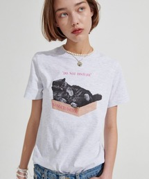 WONDER VISITOR/BoxCat T 2276918