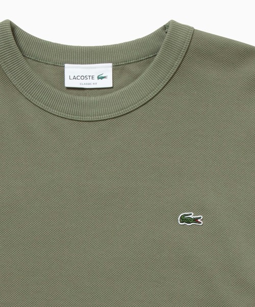 LACOSTE（ラコステ）の「クラシックフィット ビッグピケ ロングスリーブTシャツ（Tシャツ/カットソー・メンズ・ネイビー/ダークグリーン/ホワイト/ブラック/グレー/カーキ/ダークブラウン・5/4/3/2/6）」の8枚目の写真