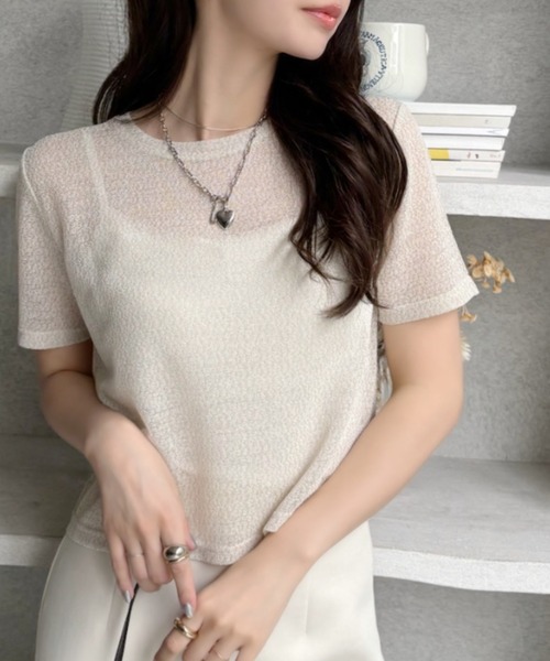 Ada.(エイダ)の「ドライタッチ シアー ラメ カットソー(Tシャツ/カットソー・レディース・グレー/アイボリー/ブラック/ピンク・FREE)」の14枚目の写真
