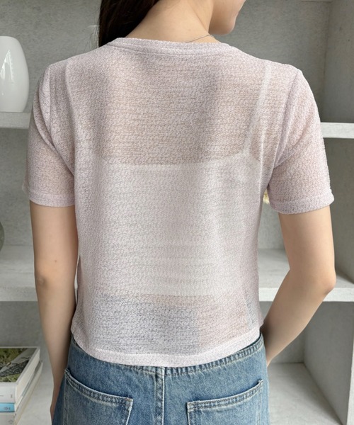 Ada.(エイダ)の「ドライタッチ シアー ラメ カットソー(Tシャツ/カットソー・レディース・グレー/アイボリー/ブラック/ピンク・FREE)」の7枚目の写真