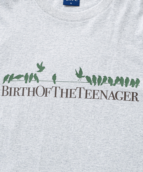 BOTT（ボット）の「BoTT / ボット The Flock Tee（Tシャツ/カットソー・メンズ・ブラウン/ライトグレー・X-LARGE/LARGE/MEDIUM）」の6枚目の写真