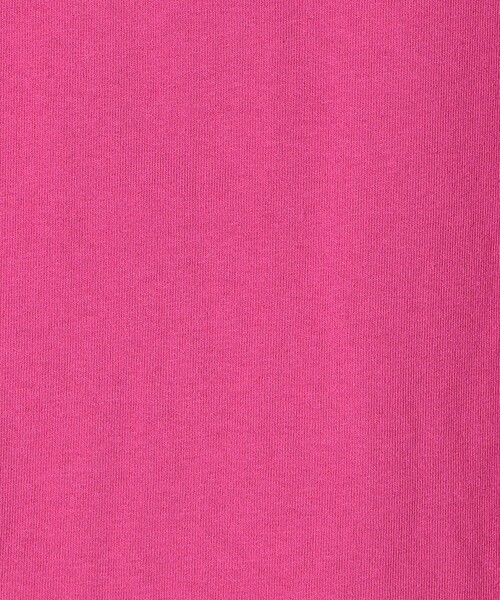 SHIPS any(シップス エニィ)の「SHIPS any:〈抗菌消臭〉USAコットン フレンチ スリーブ TEE(Tシャツ/カットソー・レディース・ホワイト/ブラック/ピンク/イエロー/ワインレッド・ONE SIZE)」の11枚目の写真