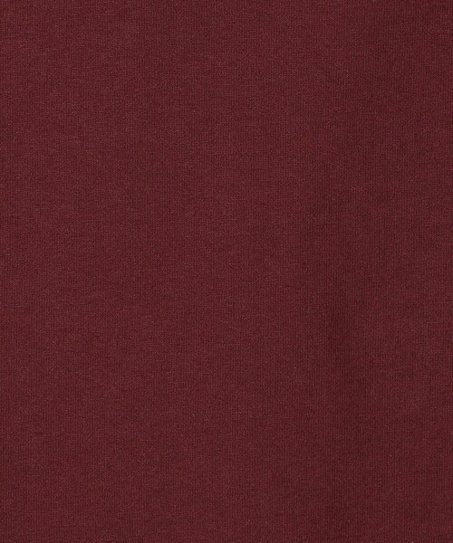 SHIPS any(シップス エニィ)の「SHIPS any:〈抗菌消臭〉USAコットン フレンチ スリーブ TEE(Tシャツ/カットソー・レディース・ホワイト/ブラック/ピンク/イエロー/ワインレッド・ONE SIZE)」の17枚目の写真