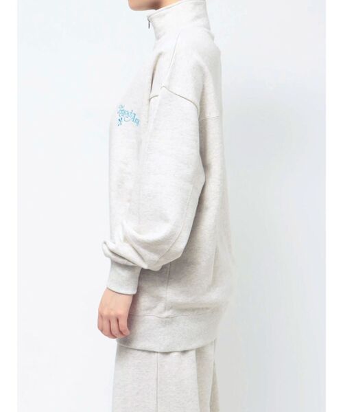 EMODA（エモダ）の「【Ames Worldwide】ロゴハーフジップオーバートップ（Tシャツ/カットソー・レディース・ネイビー/グレー・FREE）」の20枚目の写真