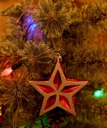 niko and...(ニコアンド)の【2024Xmas】スターオーナメント(インテリア雑貨)