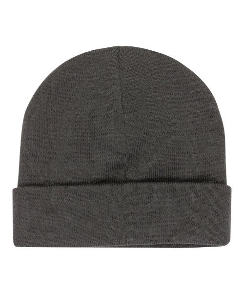 ELEMENT(エレメント)の「ELEMENT/エレメント ビーニー MID LOWCASE BEANIE BF022-991(ニットキャップ/ビーニー・メンズ・グレイッシュブルー/スミクロ/グリーン・FREE)」の7枚目の写真