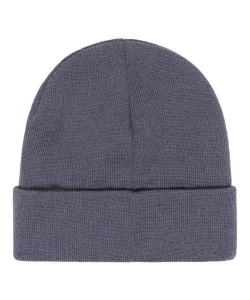 ELEMENT(エレメント)の「ELEMENT/エレメント ビーニー MID LOWCASE BEANIE BF022-991(ニットキャップ/ビーニー・メンズ・グレイッシュブルー/スミクロ/グリーン・FREE)」の9枚目の写真