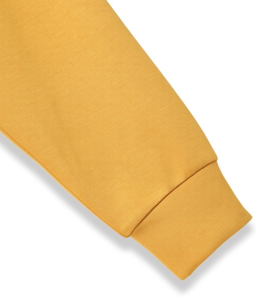 LAUTREAMONT（ロートレアモン）の「【WEB限定】ふんわリッチプルオーバー≪手洗い可能≫（Tシャツ/カットソー・レディース・ベージュ/ブルー/ピンク/チャコールグレー/イエロー/ブラック・9号/11号）」の15枚目の写真