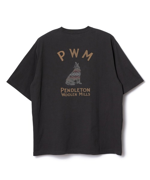 PENDLETON（ペンドルトン）の「PENDLETON/ペンドルトン ショートスリーブ ナショナルパークガーメントダイ バックプリントTシャツ（Tシャツ/カットソー・メンズ・ホワイト/ベージュ/チャコールグレー/ライトブルー・MEDIUM/LARGE）」の2枚目の写真
