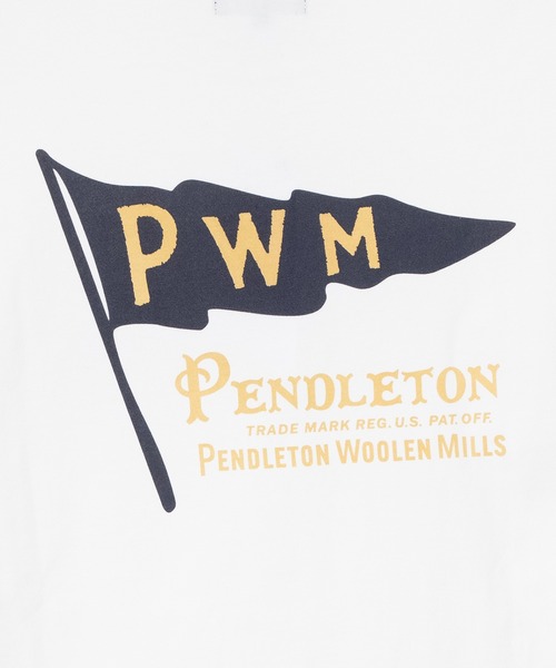 PENDLETON（ペンドルトン）の「PENDLETON/ペンドルトン ショートスリーブ ナショナルパークガーメントダイ バックプリントTシャツ（Tシャツ/カットソー・メンズ・ホワイト/ベージュ/チャコールグレー/ライトブルー・MEDIUM/LARGE）」の7枚目の写真