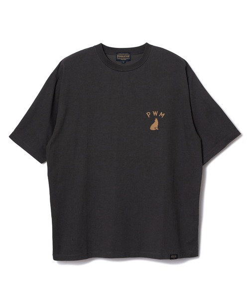 PENDLETON（ペンドルトン）の「PENDLETON/ペンドルトン ショートスリーブ ナショナルパークガーメントダイ バックプリントTシャツ（Tシャツ/カットソー・メンズ・ホワイト/ベージュ/チャコールグレー/ライトブルー・MEDIUM/LARGE）」の10枚目の写真