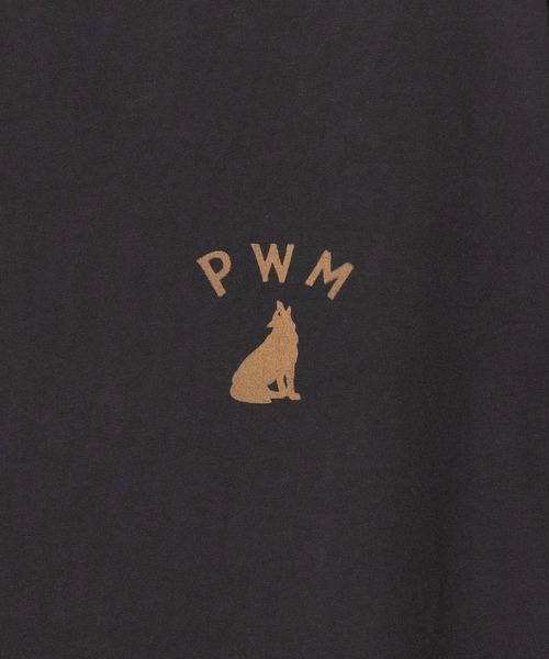 PENDLETON（ペンドルトン）の「PENDLETON/ペンドルトン ショートスリーブ ナショナルパークガーメントダイ バックプリントTシャツ（Tシャツ/カットソー・メンズ・ホワイト/ベージュ/チャコールグレー/ライトブルー・MEDIUM/LARGE）」の12枚目の写真