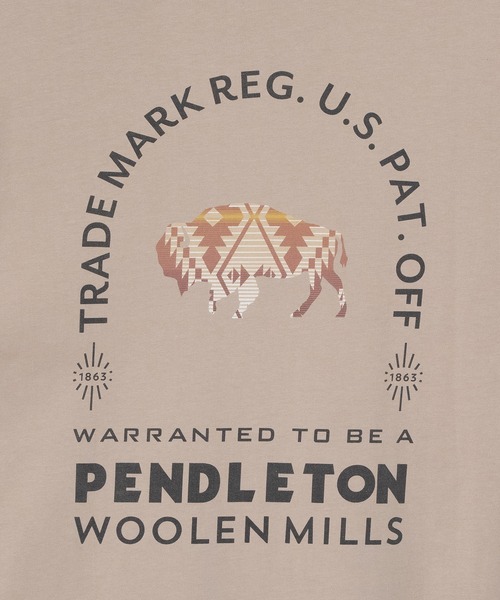 PENDLETON（ペンドルトン）の「PENDLETON/ペンドルトン ショートスリーブ ナショナルパークガーメントダイ バックプリントTシャツ（Tシャツ/カットソー・メンズ・ホワイト/ベージュ/チャコールグレー/ライトブルー・MEDIUM/LARGE）」の15枚目の写真