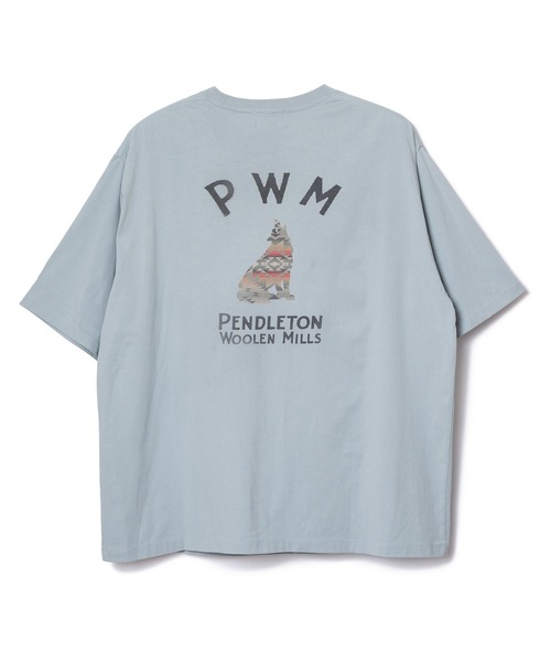 PENDLETON（ペンドルトン）の「PENDLETON/ペンドルトン ショートスリーブ ナショナルパークガーメントダイ バックプリントTシャツ（Tシャツ/カットソー・メンズ・ホワイト/ベージュ/チャコールグレー/ライトブルー・MEDIUM/LARGE）」の21枚目の写真