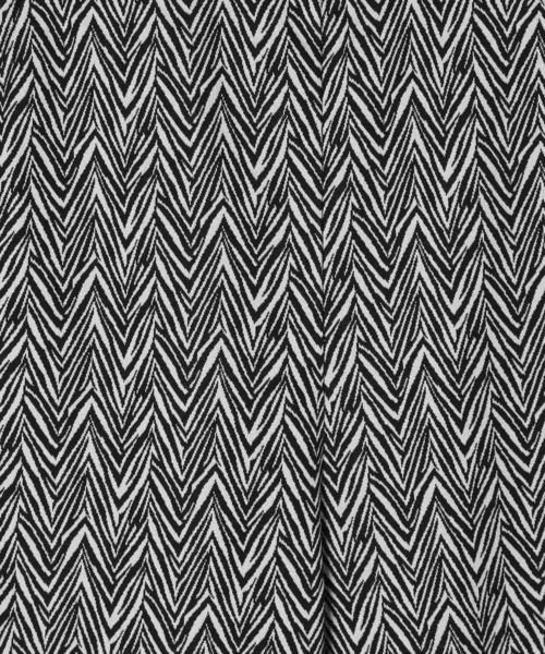 PAGEBOY（ページボーイ）の「キカガラフレアパンツ（その他パンツ・レディース・ゼブラ/チェック・FREE）」の4枚目の写真