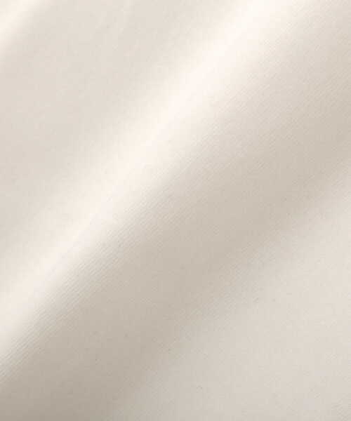 PROPORTION BODY DRESSING(プロポーションボディドレッシング)の「<E>ロゴTシャツ / 1212167401(Tシャツ/カットソー・レディース・ホワイト系その他/ダークグレー/オフホワイト・FREE)」の21枚目の写真