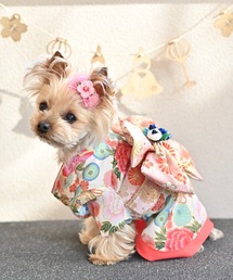 ONEKOSAMA OINUSAMA(IlRT})́yVFzybgEFAiXS`2Lj(ybgEFA)