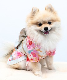 ONEKOSAMA OINUSAMA(IlRT})́yVFzybgEFAiXS`2Lj(ybgEFA)