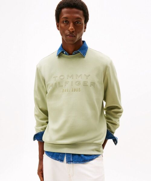 TOMMY HILFIGER(トミーヒルフィガー)の「ナイロンアップリケインテクノクルーネックトレーナー(スウェット・メンズ・ネイビー/ライトグリーン・MEDIUM/LARGE/SMALL/X-LARGE)」の2枚目の写真