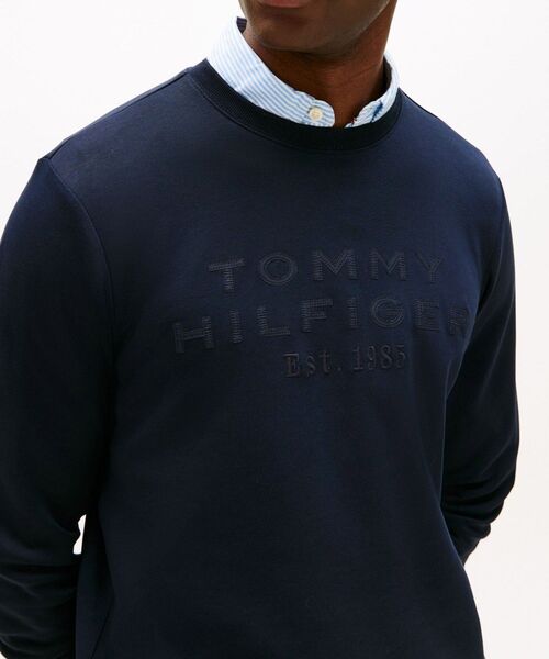 TOMMY HILFIGER(トミーヒルフィガー)の「ナイロンアップリケインテクノクルーネックトレーナー(スウェット・メンズ・ネイビー/ライトグリーン・MEDIUM/LARGE/SMALL/X-LARGE)」の3枚目の写真