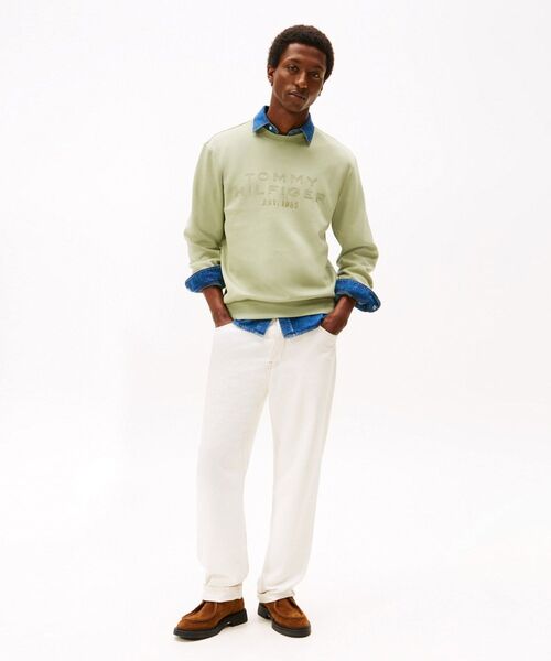 TOMMY HILFIGER(トミーヒルフィガー)の「ナイロンアップリケインテクノクルーネックトレーナー(スウェット・メンズ・ネイビー/ライトグリーン・MEDIUM/LARGE/SMALL/X-LARGE)」の8枚目の写真