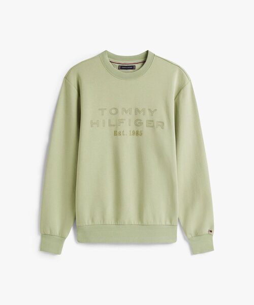 TOMMY HILFIGER(トミーヒルフィガー)の「ナイロンアップリケインテクノクルーネックトレーナー(スウェット・メンズ・ネイビー/ライトグリーン・MEDIUM/LARGE/SMALL/X-LARGE)」の10枚目の写真