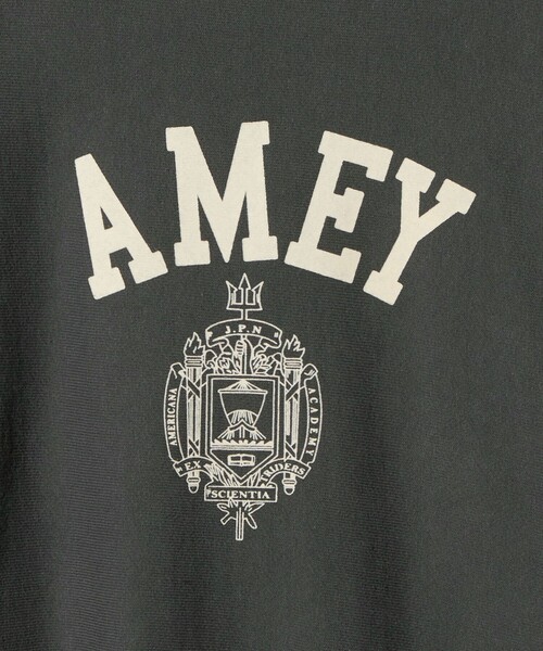 Americana　AMEY　プルオーバー　ロゴパーカー　【M】 Americana AMEY プルオーバー ロゴパーカー 【M】 楽天市場