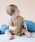 ���ǂ� �r�[���X�i�R�h���r�[���X�j�́u�x�r�[ ���X���� �����p�[�X 2026SS�i70�`80cm�j�i�����p�[�X�j�v�b�x�[�W��