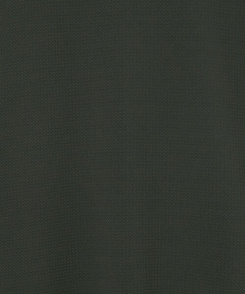 A DAY IN THE LIFE UNITED ARROWS(アデイインザライフユナイテッドアローズ)の「バウンシー ジャガード カットソー<A DAY IN THE LIFE>(Tシャツ/カットソー・メンズ・ホワイト/オリーブ/ブラック・M/S/L)」の14枚目の写真