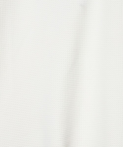 A DAY IN THE LIFE UNITED ARROWS(アデイインザライフユナイテッドアローズ)の「バウンシー ジャガード カットソー<A DAY IN THE LIFE>(Tシャツ/カットソー・メンズ・ホワイト/オリーブ/ブラック・M/S/L)」の21枚目の写真