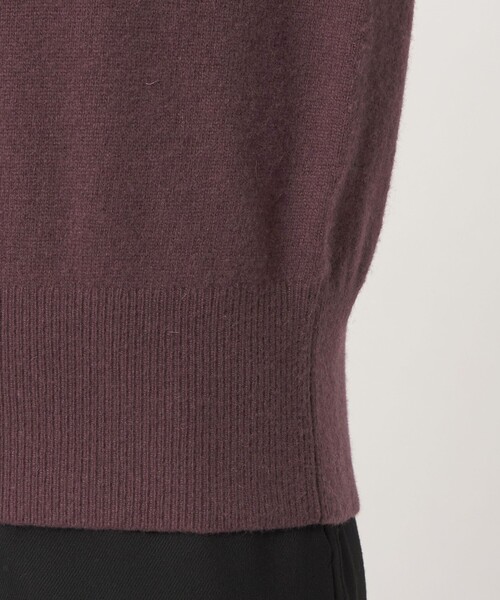 LACOSTE(ラコステ)の「【別注】<LACOSTE>ポロニット(ニット/セーター・レディース・レッド/ダークブラウン/ネイビー・FREE)」の20枚目の写真