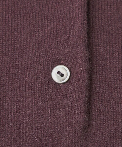 LACOSTE(ラコステ)の「【別注】<LACOSTE>ポロニット(ニット/セーター・レディース・レッド/ダークブラウン/ネイビー・FREE)」の22枚目の写真